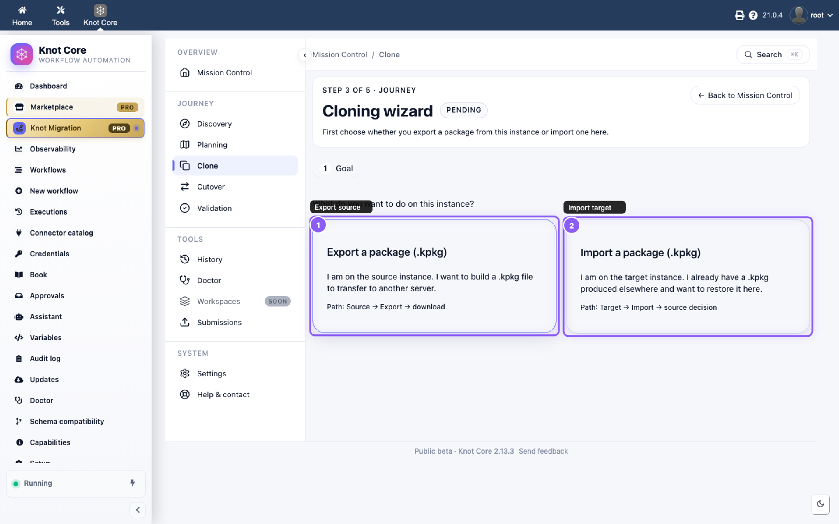 Cloning wizard — export source or import target intent