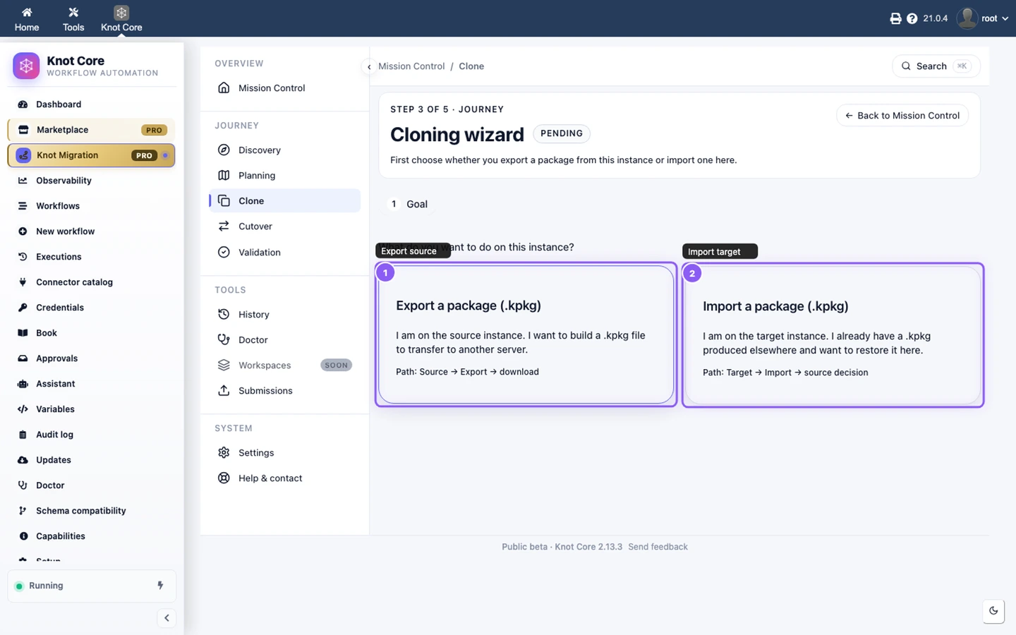 Cloning wizard — export source or import target intent